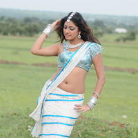 Haripriya Exclusive Gallery From Pilla Zamindar Movie | Picture 101833